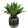 Aloe in Crete Pot 21-inches tall