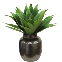Aloe in Crete Pot 21-inches tall