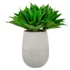Aloe in Stonecast Planter 35"