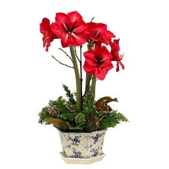Amaryllis Arrangement 17"