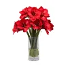 Amaryllis in Vase 23"