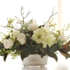 Amaryllis Magnolia Leaf Centerpiece 24"