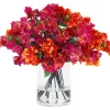 BOUGAINVILLEA IN VASE 34"