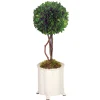 BOXWOOD BALL TOPIARY IN CANISTER VASE (WHD117-GR)