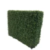 Boxwood Hedge 44" wide