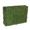 Boxwood Hedge 39" wide