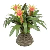 Bromeliad in Cache Pot 23"