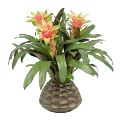 Bromeliad in Cache Pot 23"