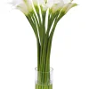 Calla Lily in Cylinder Vase 29"