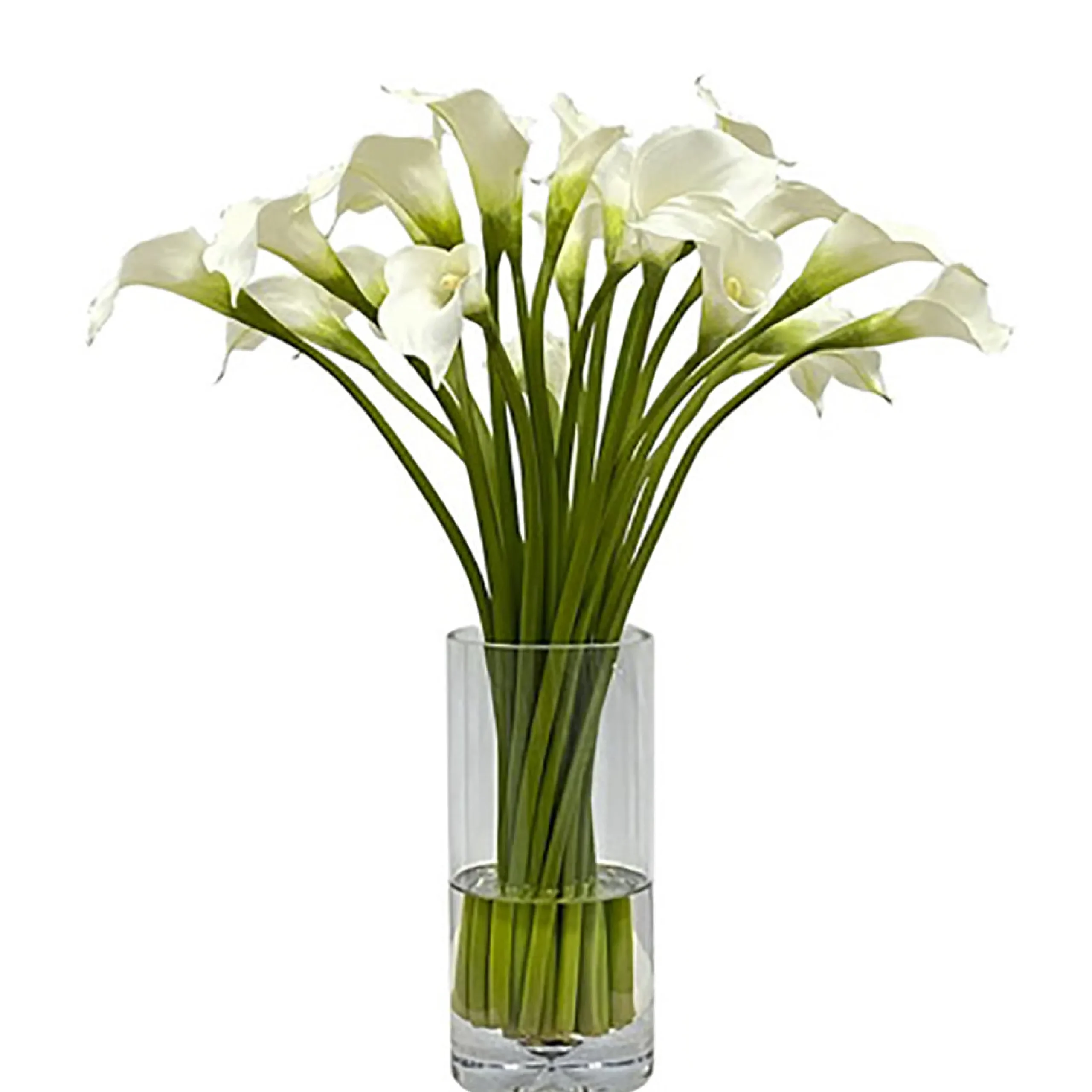 Calla Lily in Cylinder Vase 22"