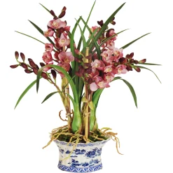 Cymbidium Orchid in Oval Pot 27"