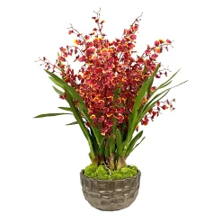 Dancing Orchid in Modern Bowl 32"