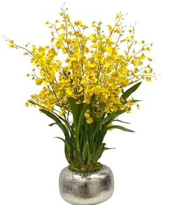 Dancing Orchid in Pot 33"