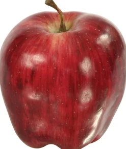 DELICIOUS RED APPLE (set of 6)