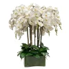 Deluxe Orchid in Square Glass 36"