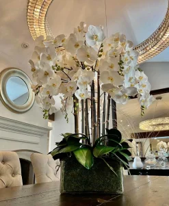 Deluxe Orchid in Square Glass 36"