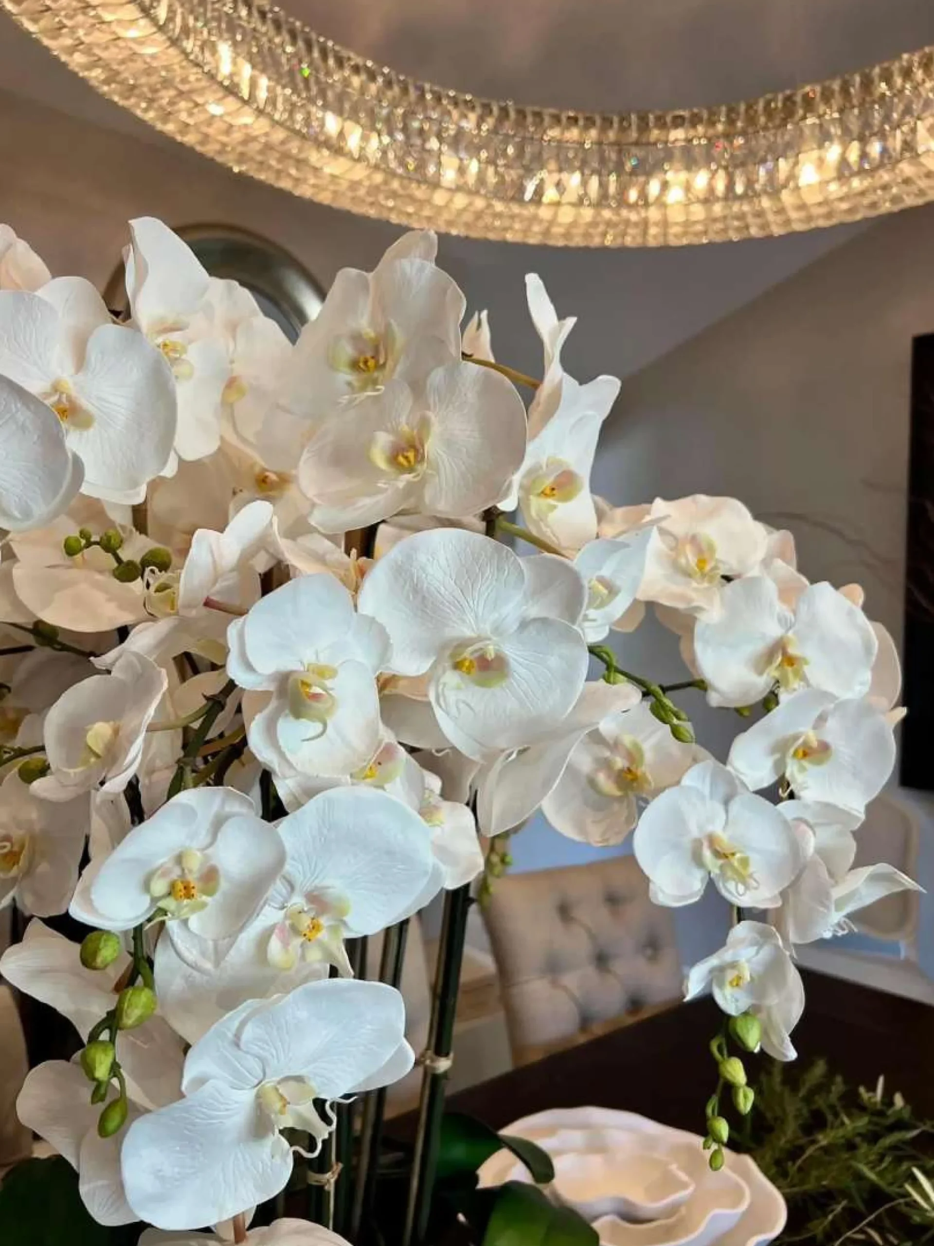 Deluxe Orchid in Square Glass 36"