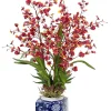 Faux Oncidium Orchid In Pot 31"