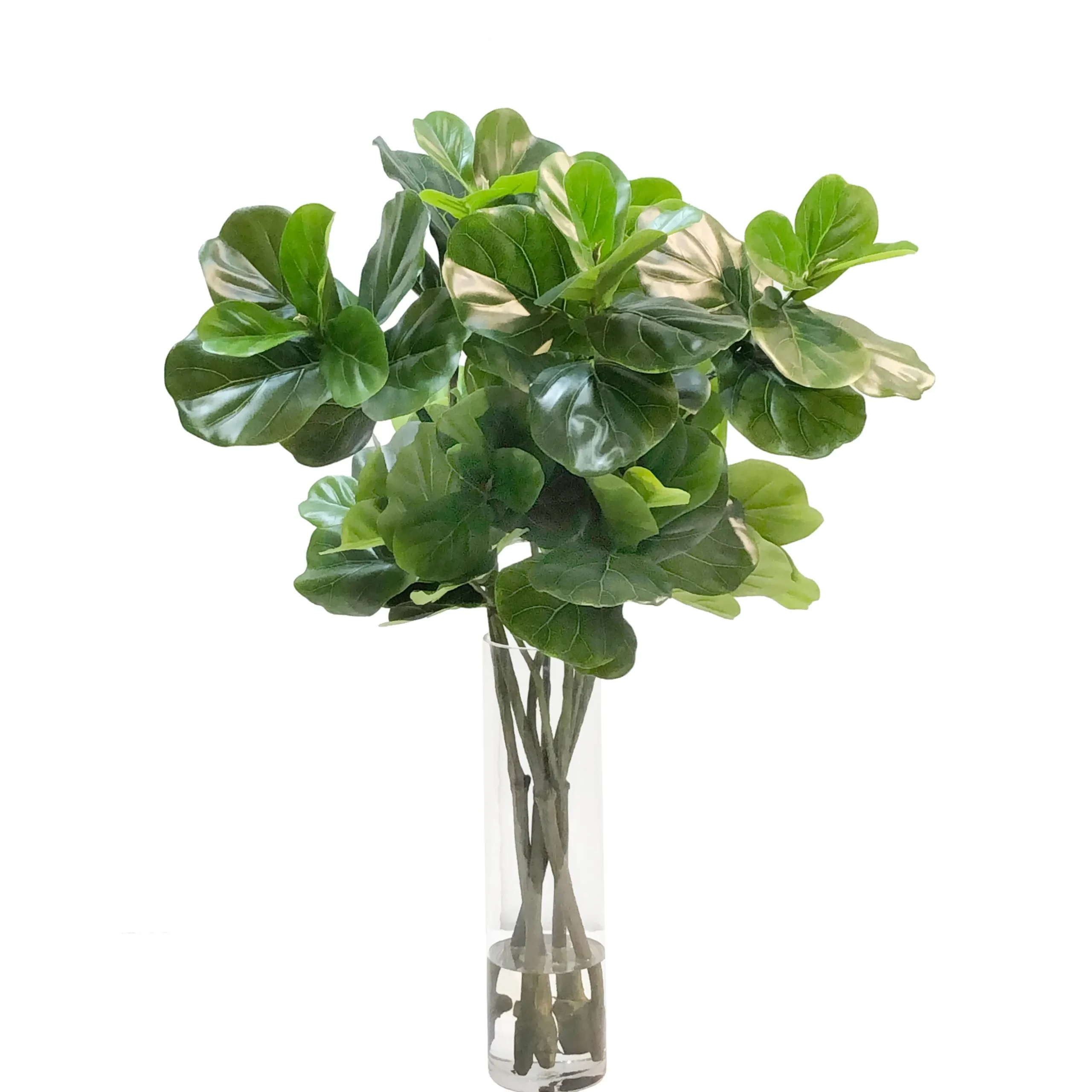 Fiddle Leaf in Vase 40"