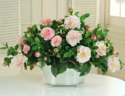 GARDEN CAMELLIA CENTERPIECE (DP556-PK)