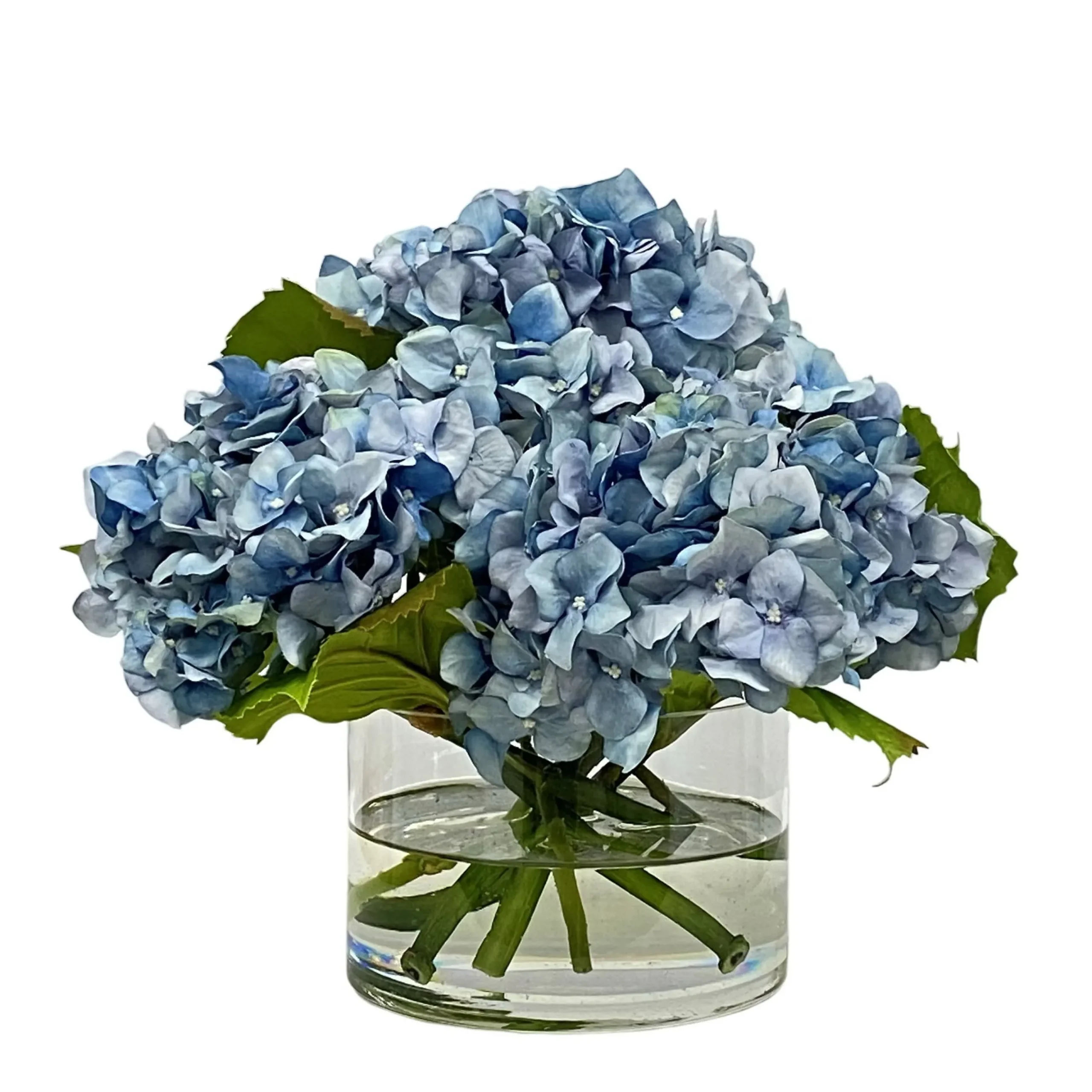Hydrangea in Cylinder 10.5"