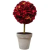 Hydrangea in Pot 21.5"