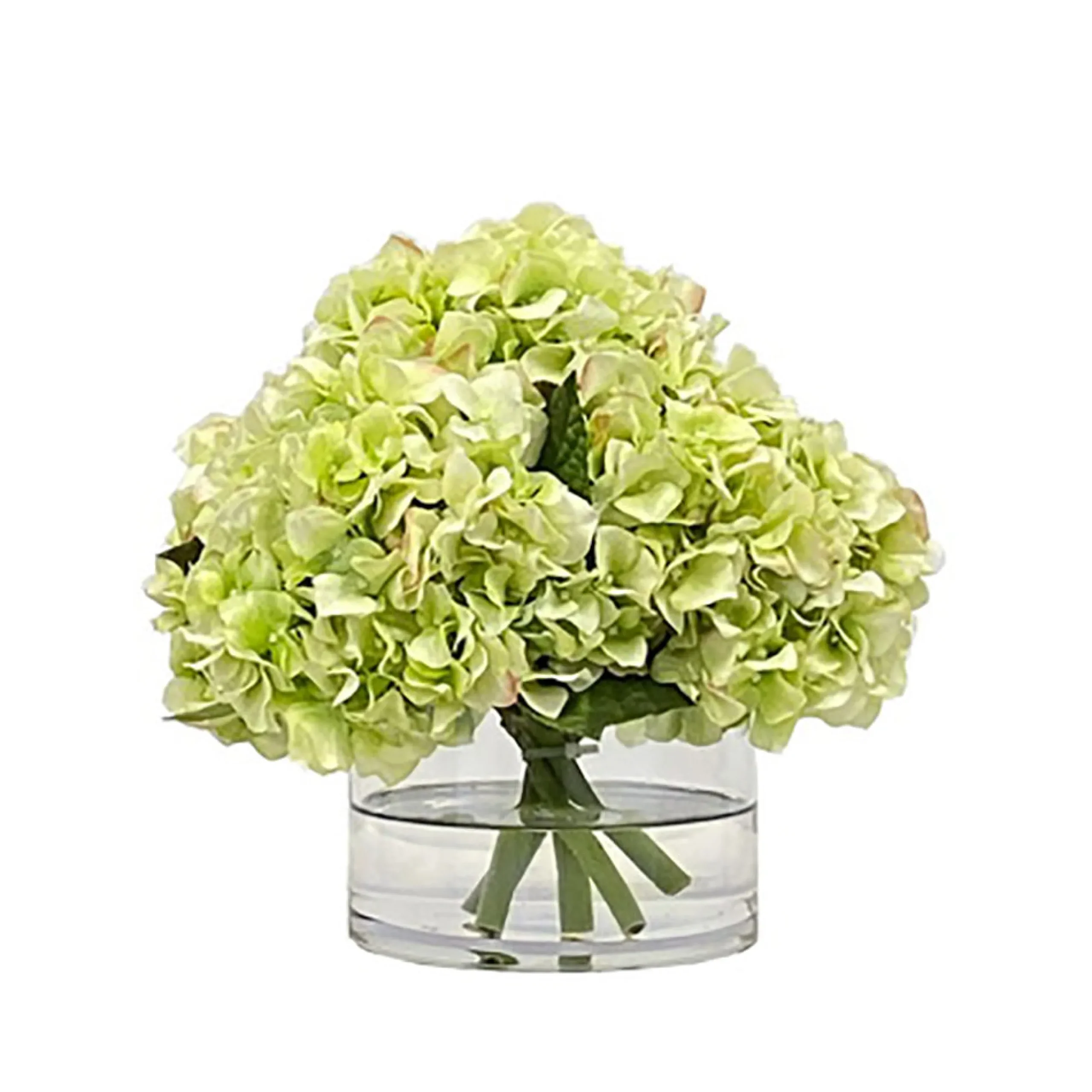 HYDRANGEA IN VASE 10"