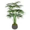 KENTIA PALM IN STONECAST PLANTER 7'