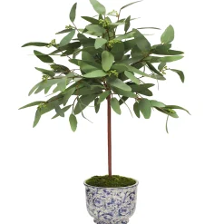 Long Eucalyptus in Cache Pot 30"
