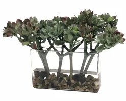 MACDOUGALLII IN RECTANGLE VASE 13"