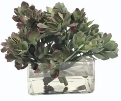 MACDOUGALLII IN SQUARE VASE 10"