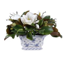 MAGNOLIA IN CHINOISERIE POT 16"