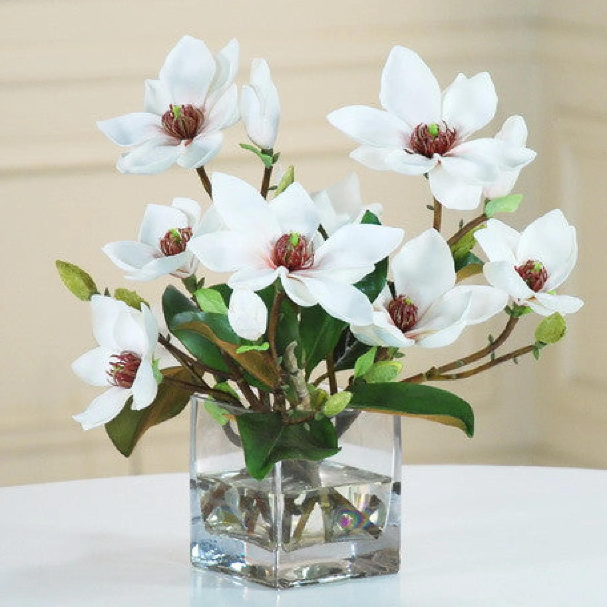 MAGNOLIA W/ FOLIAGE CUBE