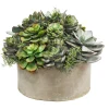MIX SUCCULENT GARDEN PLANTER (WHD217-GRTP)