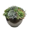 MIX SUCCULENT IN CRETE BOWL 10"