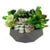Mix Succulent in Hexagon Pot 8"