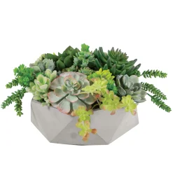 Mix Succulent in Hexagon Pot 9"