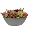 Mix Succulent in Oval Planter 10"
