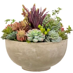 Mix Succulents in Bowl 18.5"