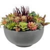 Mix Succulents in Bowl 16"