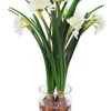 Narcissus in Clear Vase 17.5"