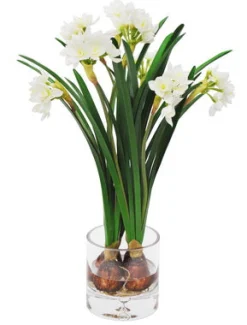 Narcissus in Clear Vase 17.5"