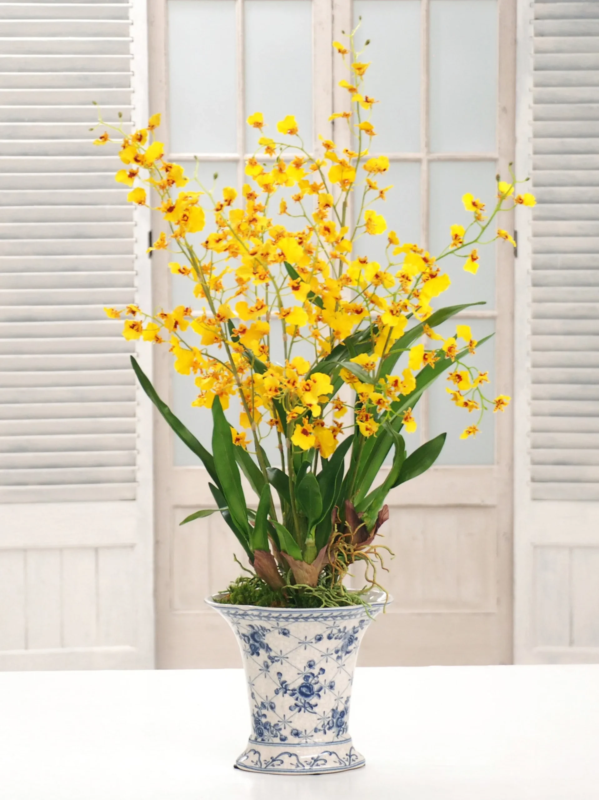 ONCIDIUM ORCHID CHINOISERIE (DP768-YL)