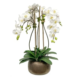 Orchid in Antique Pot 28"