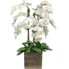 Orchid in Antique Vase 36"
