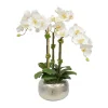 ORCHID IN ARTISANAL POT 22"