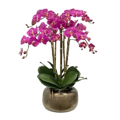Orchid in Artisanal Pot 27"
