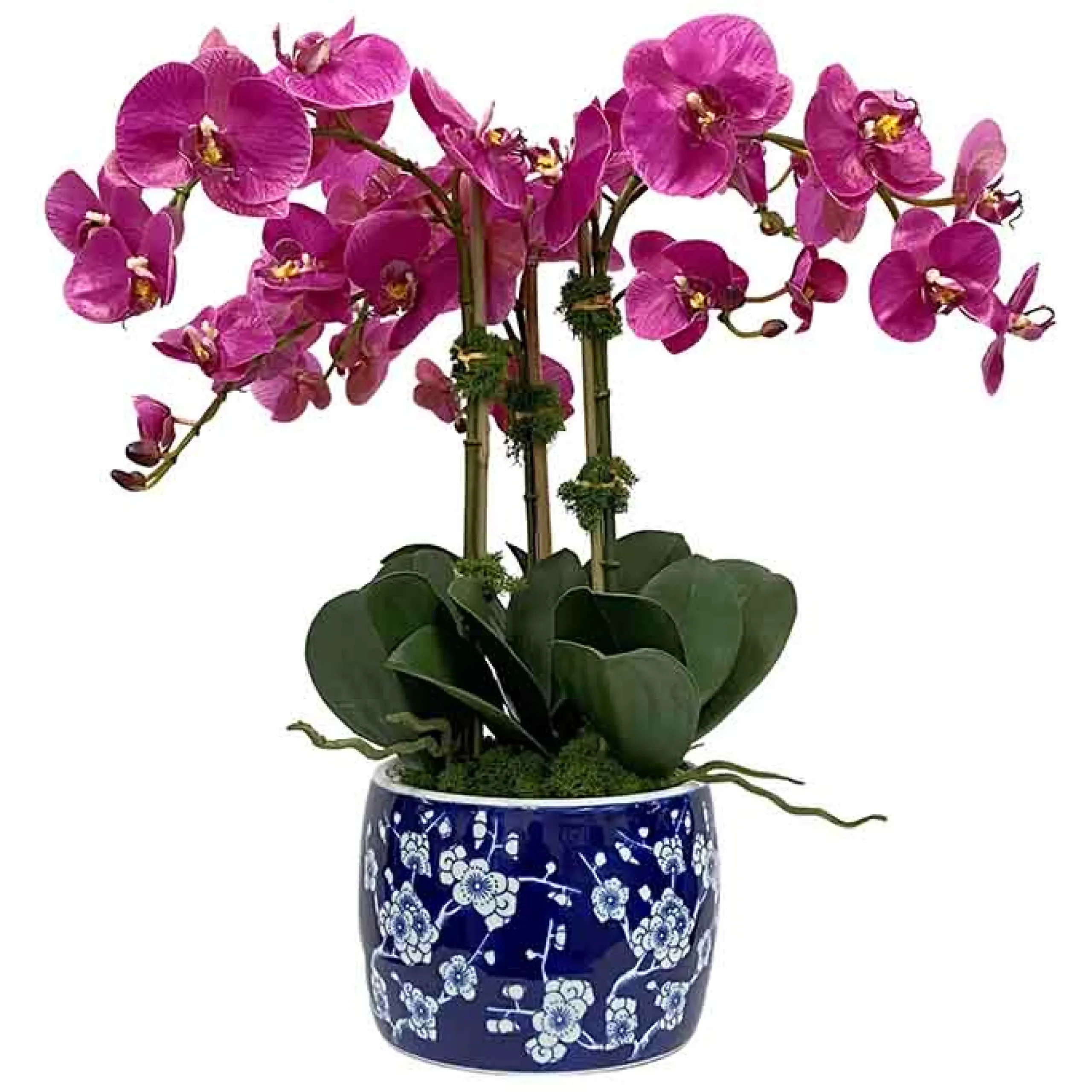 Orchid in Blossom Planter 22"