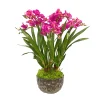 Orchid in Modern Bowl 27"
