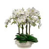 Orchid in Oval Cache Pot 31"